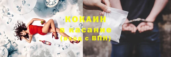хмурый Алексин