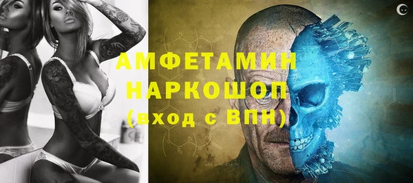 хмурый Алексин