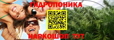 прущие грибы Берёзовский