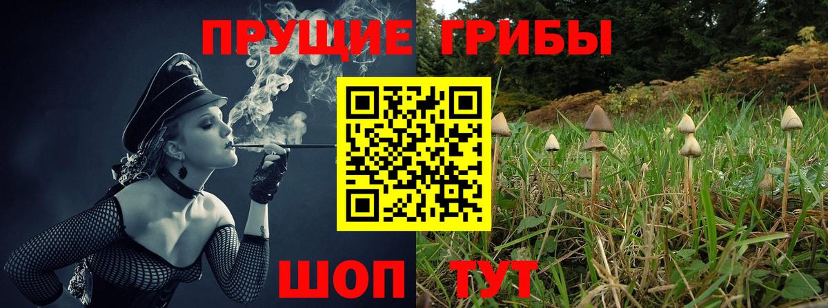 продажа наркотиков  Галлюциногенные грибы GOLDEN TEACHER  Вход с VPN  Бахчисарай 